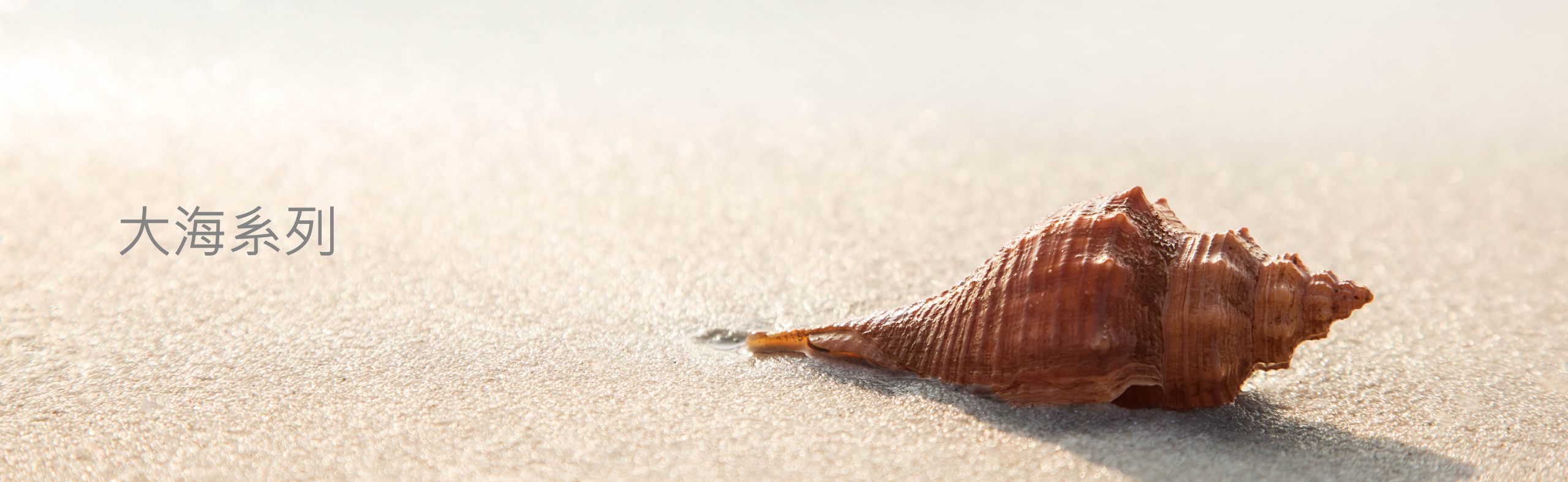 HeadBanner_Ocean_T_Desktop