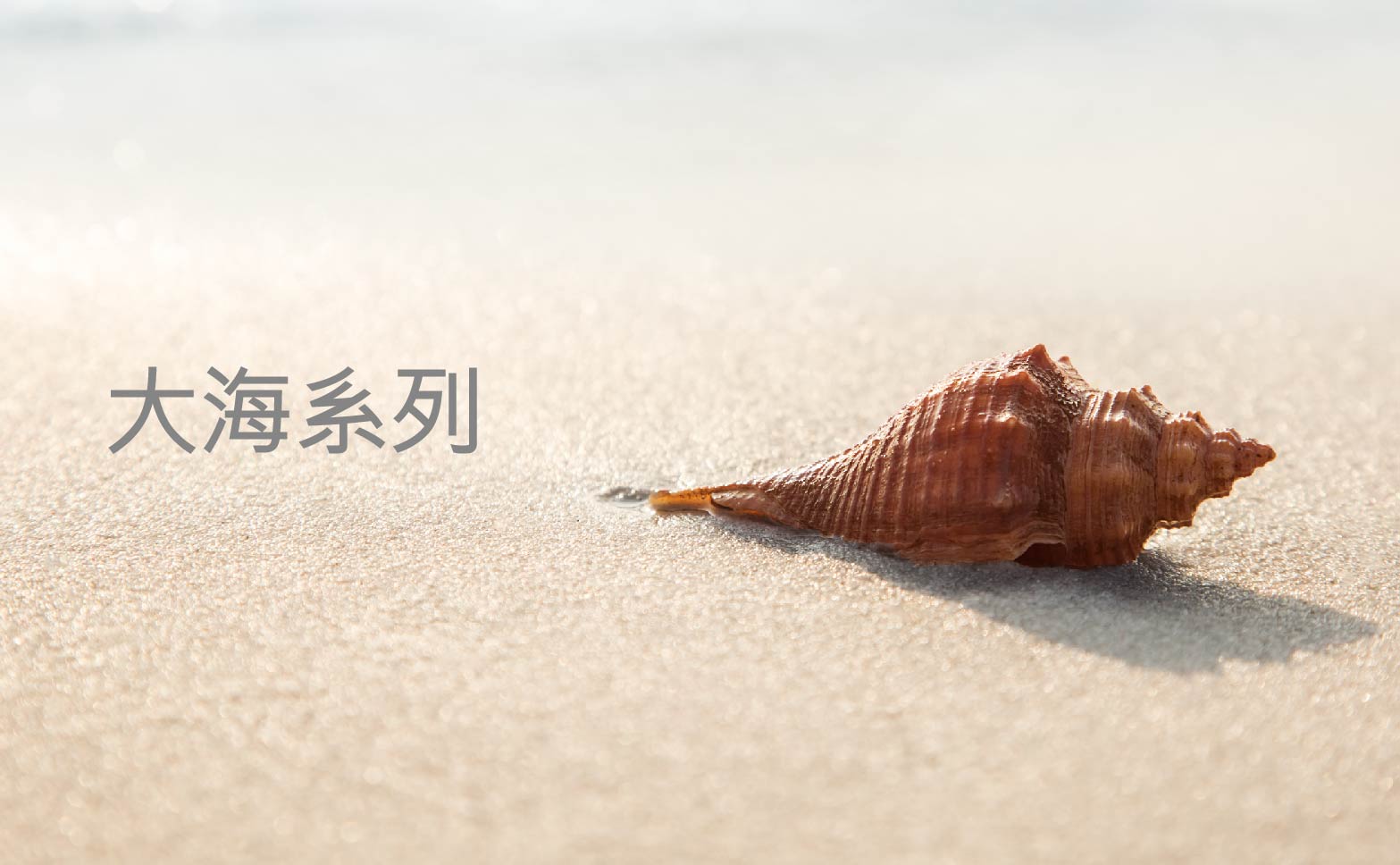 HeadBanner_Ocean_T_Mobile