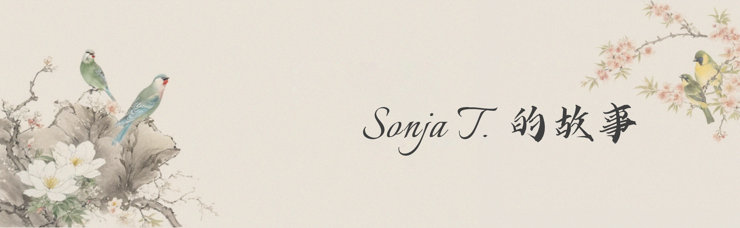 Sonja T. 的故事
